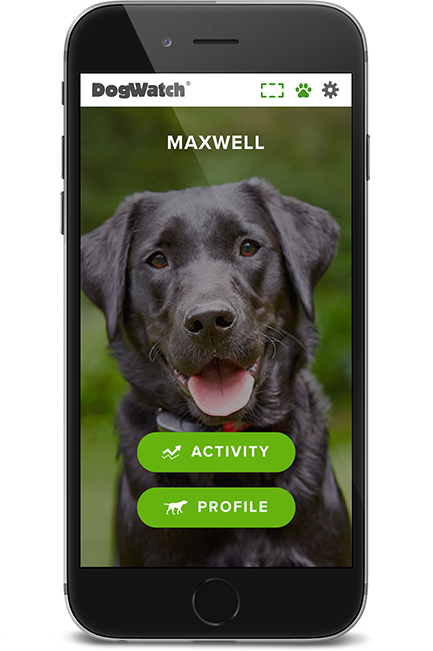 DogWatch of Greater Pittsburgh, Pittsburgh, PA | SmartFence WebApp Image